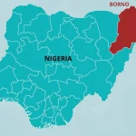 Borno Suicide Attacks: Let’s Stand Strong Against Terror